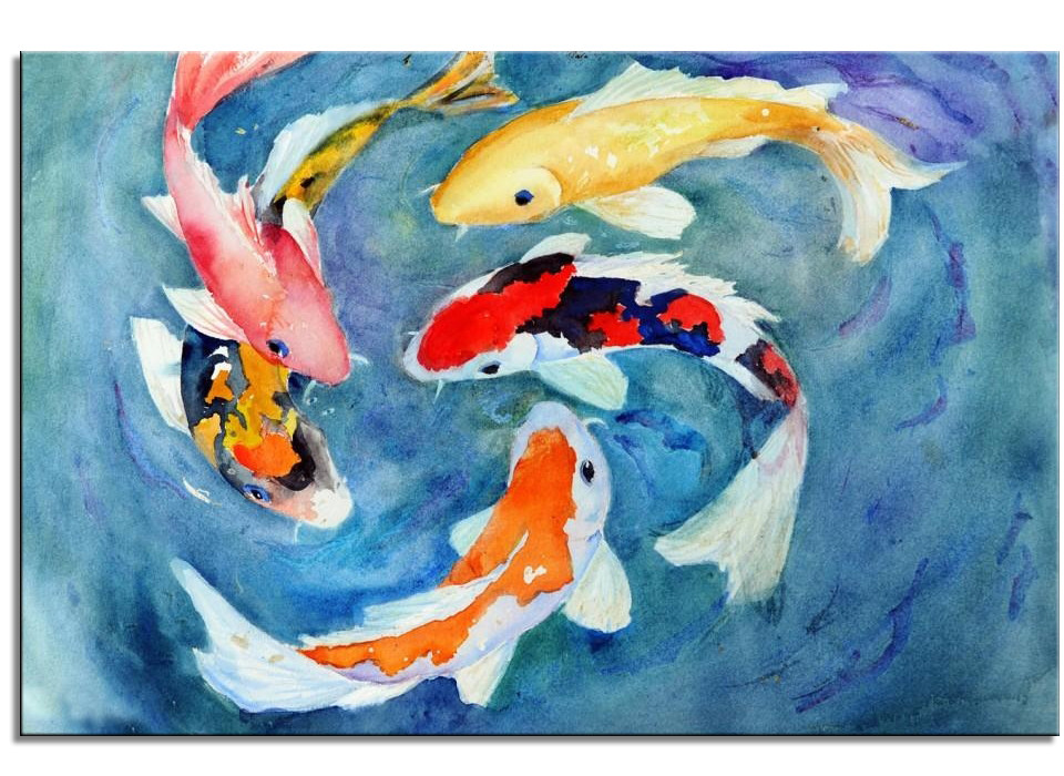 Koi Carp 4 (0) Koi Carp 4 - Afbeelding 1