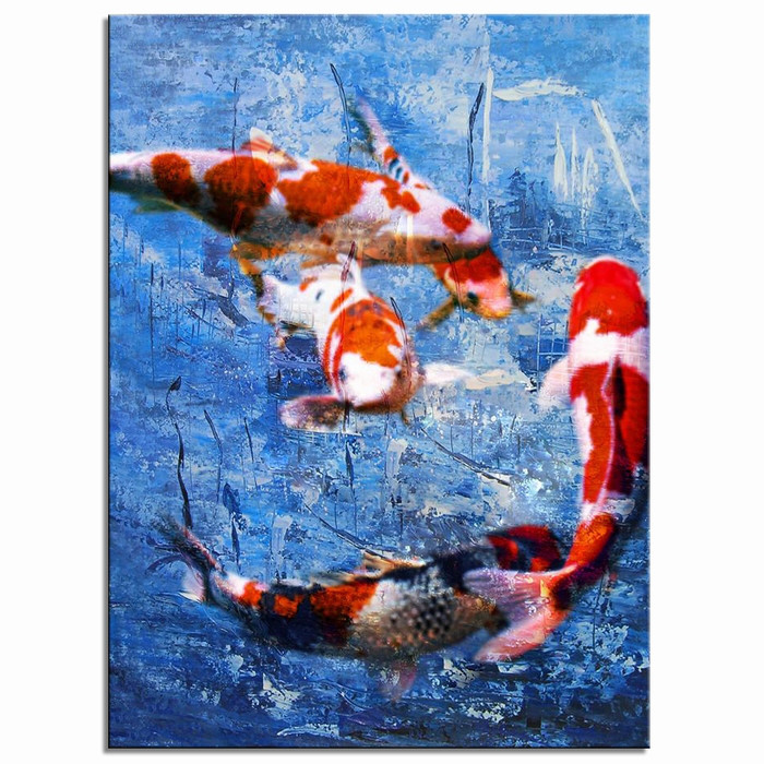 Koi Carp Beauty (0) Koi Carp Beauty - Afbeelding 1