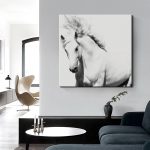 Stallion - Afbeelding 2