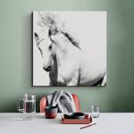 Stallion - Afbeelding 4