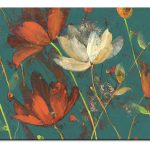 Wild Flower Beauties