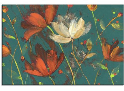 Wild Flower Beauties