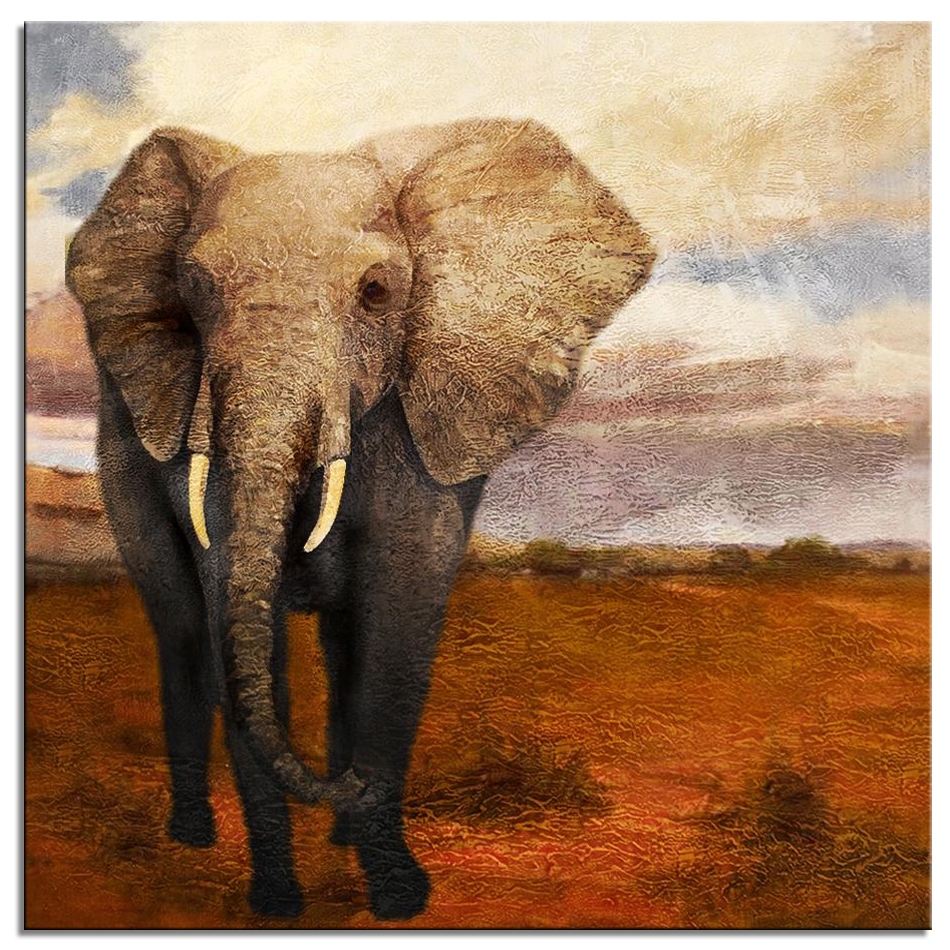 01 Elephant III