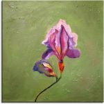 A Flower called Iris