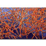 Connections in the Blue