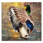 Duck Beauty