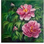 Pink Peony 1