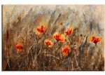 Poppies in the Field