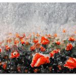 Red Poppies in the Wild