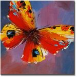 Colorful Butterfly