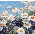 Daisies in the Field